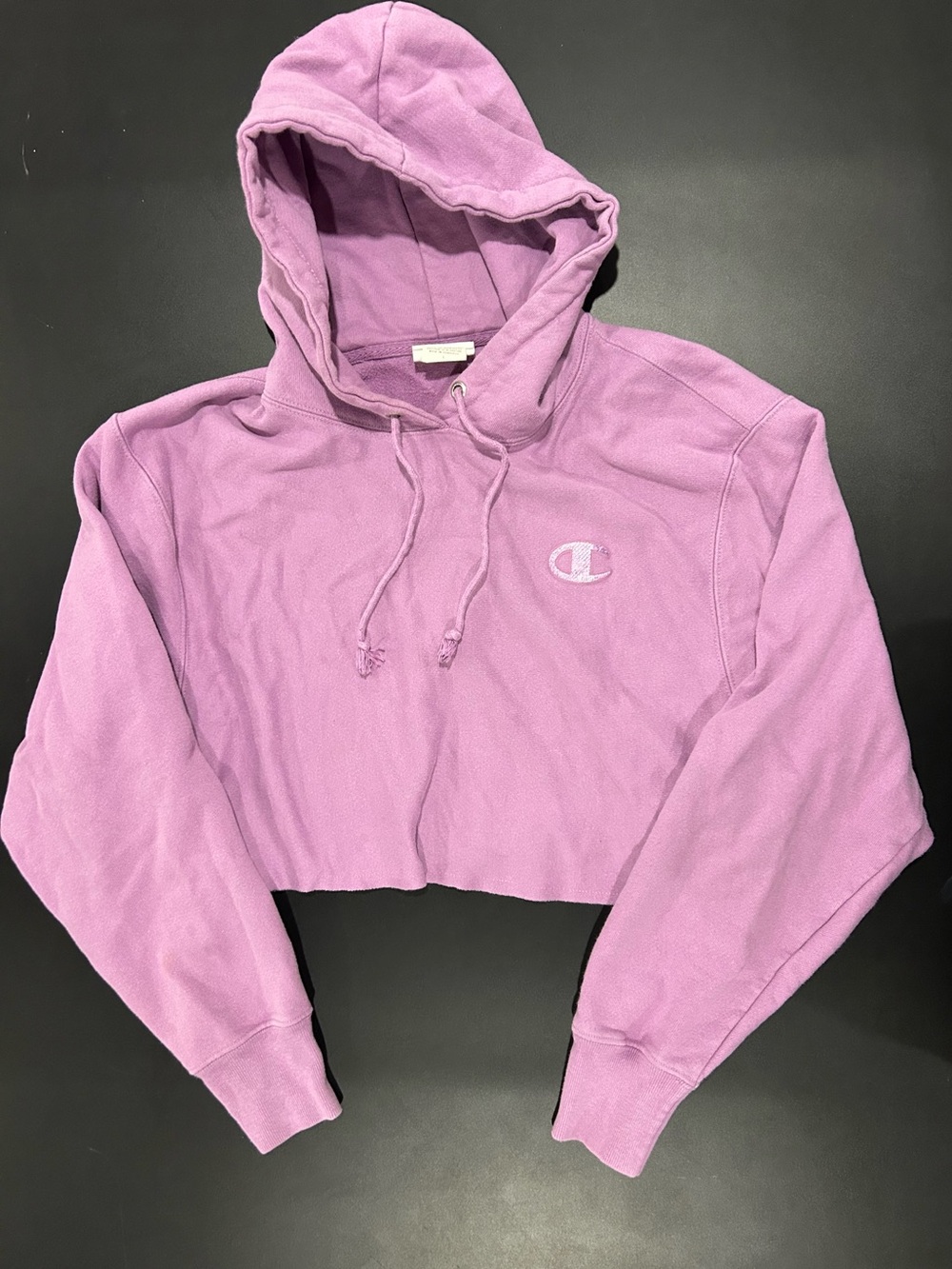 Champion Lavender Pullover Hoodie